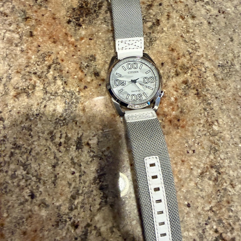 Citizen Silver Dial with Gray Strap Watch